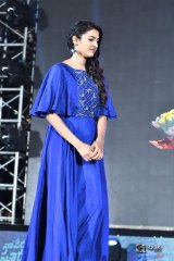 Naa Peru Surya Naa Illu India Pre Release Event Photos